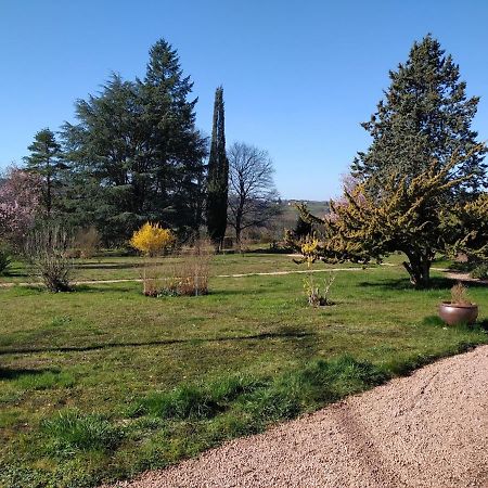 Le Serpolet Ozolles Εξωτερικό φωτογραφία
